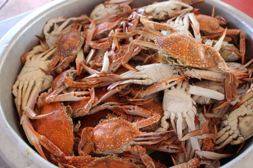Crab Feed