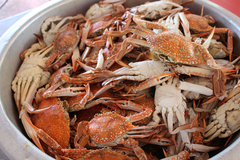 Crab Feed